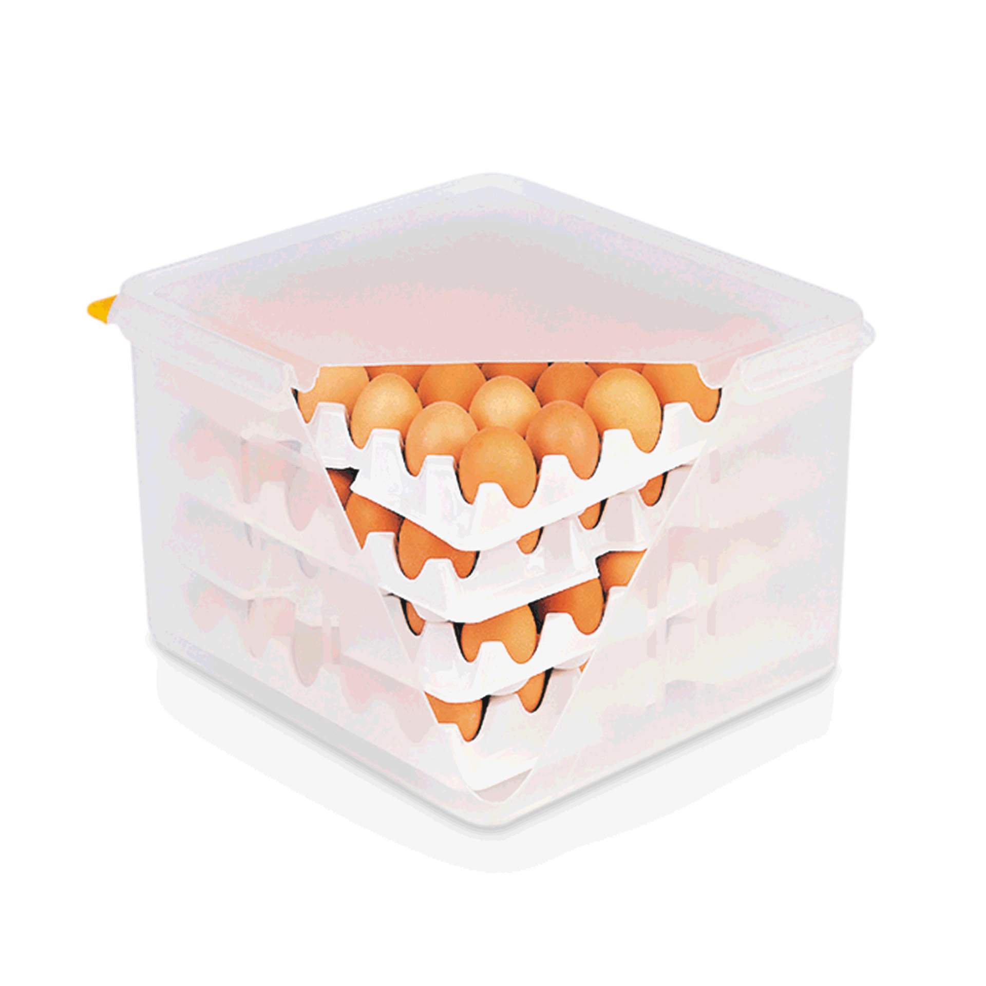 Eierbox - einfach Aufbewahrung - Abm. 35,4 x 32,5 x 20 cm - Polypropylen - 8623120-A