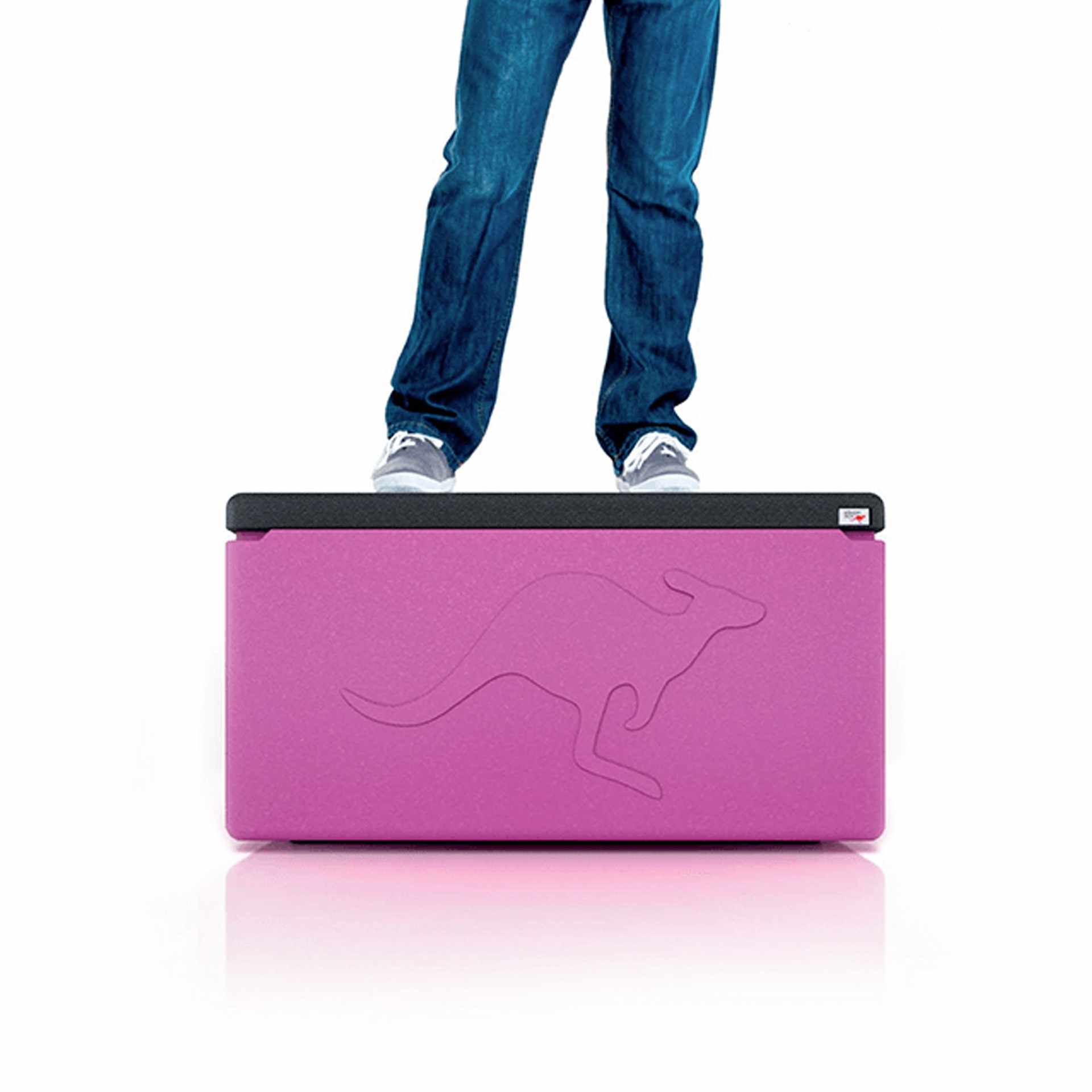 Kängabox-magenta-Stabilitätsdemo